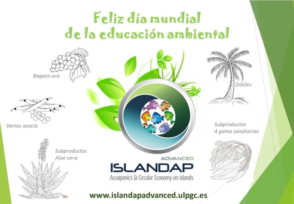 Feliz dia mundial da educação ambiental