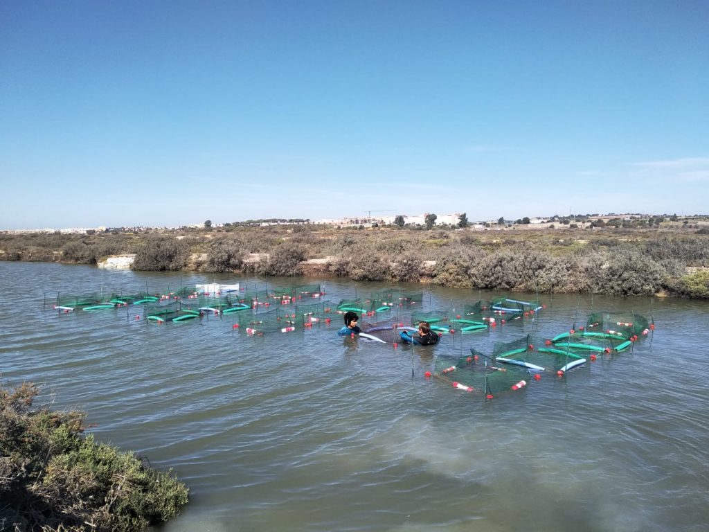 ¡Economía circular y sostenibilidad! Islandap visita las pruebas del proyecto INTEGRATE en Cádiz