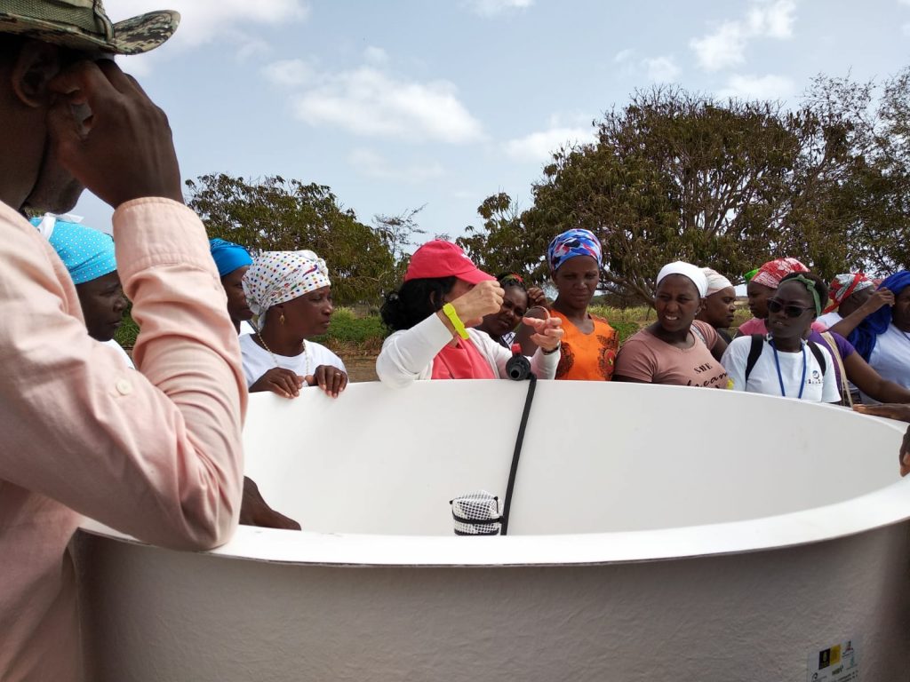 El equipo Islandap colabora en la promoción de la producción acuapónica comunitaria en Tarrafal, Cabo Verde